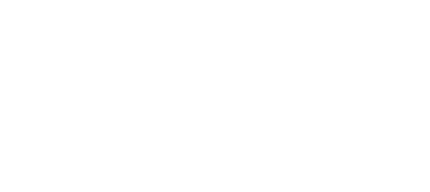 LogotipoBranco GrupoTrevisan SemFundo 600x275